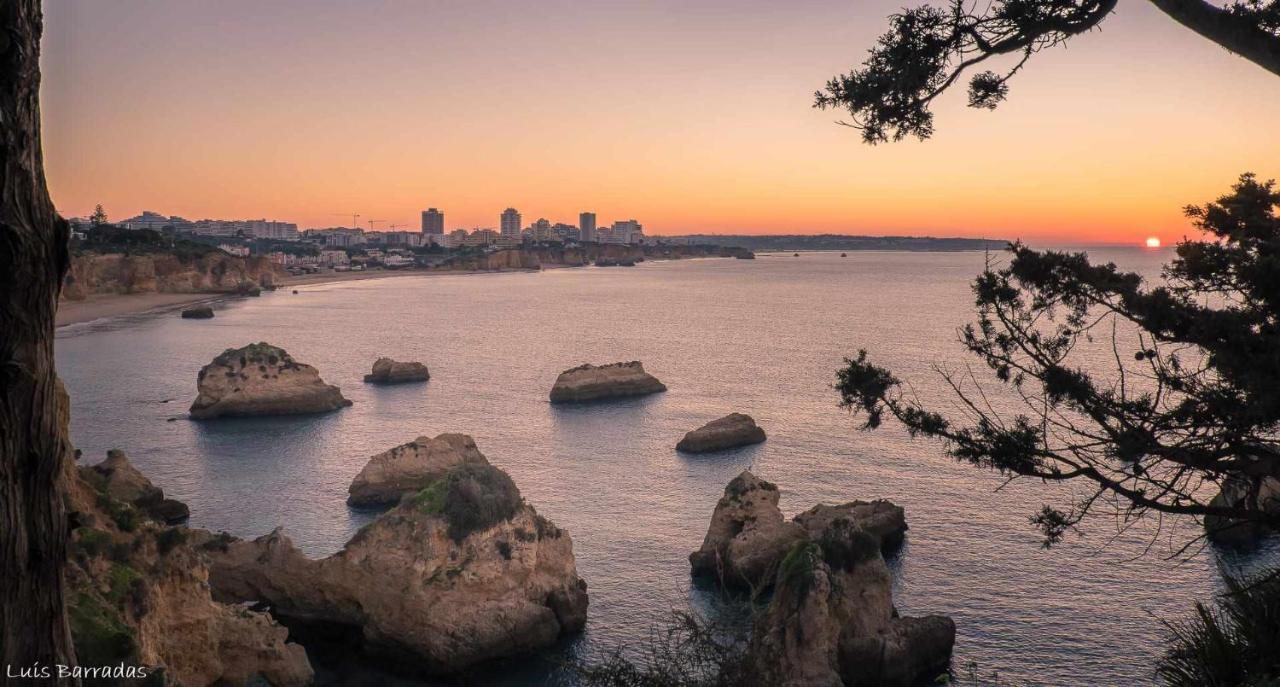Apartamentos Torre Da Rocha Frente Ao Mar 포티마오 외부 사진